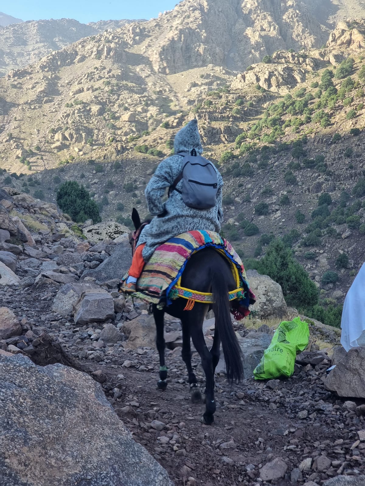 Moroccan Berber Culture