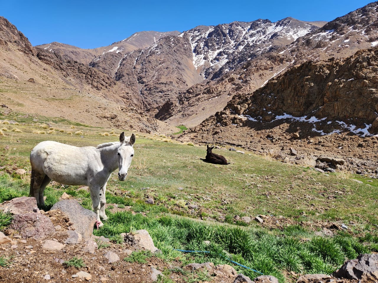 Mount Toubkal Trekking