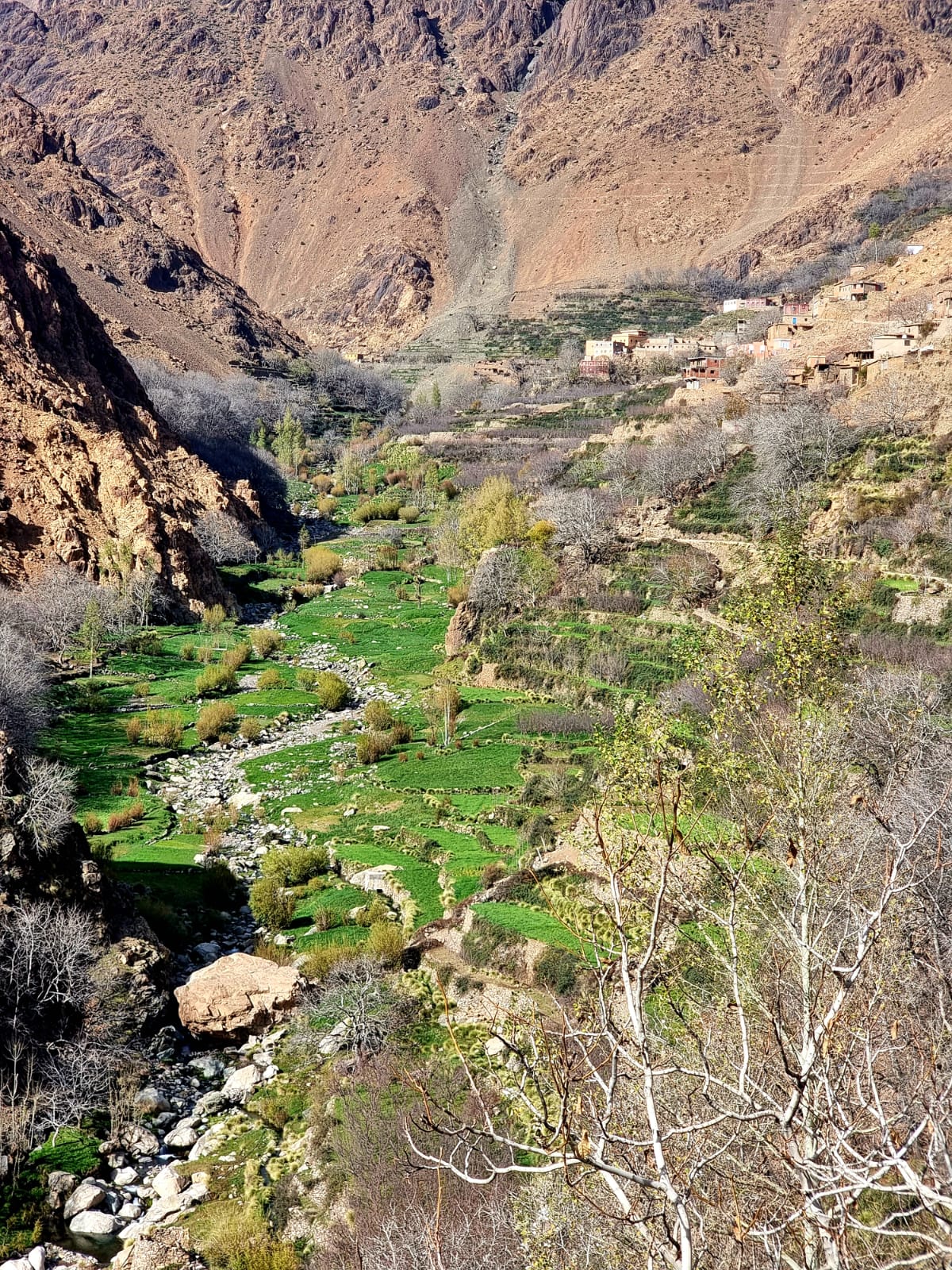 Berber Culture Experience