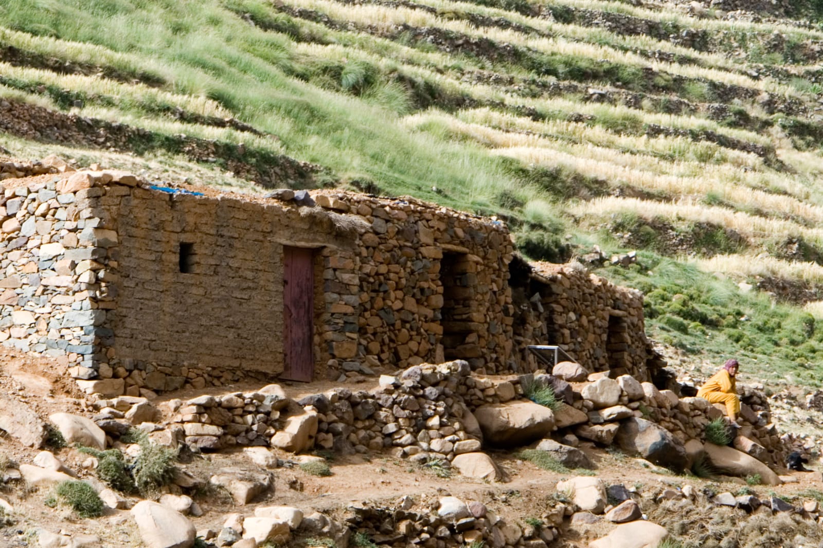 Berber Culture Experience