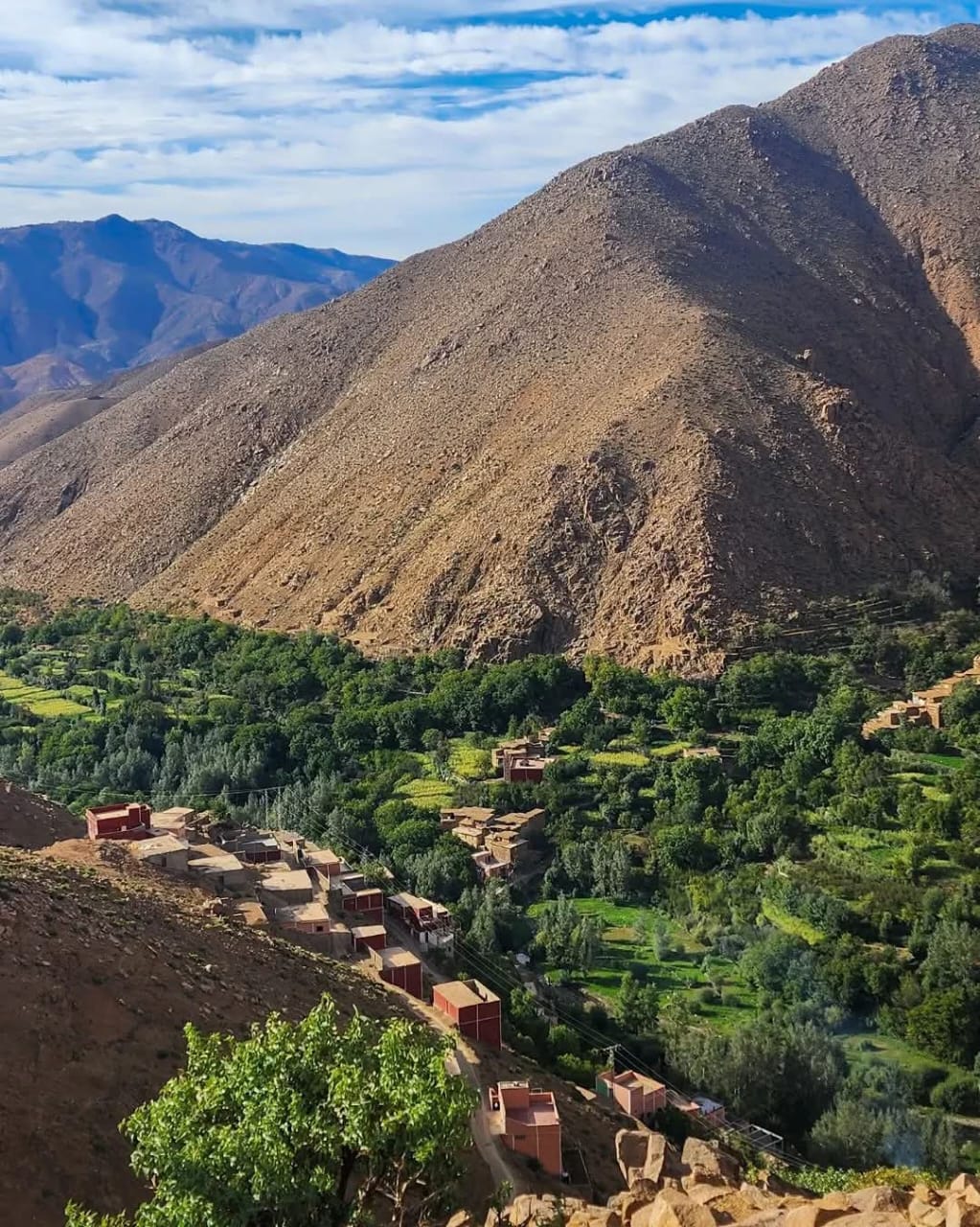 Moroccan Berber Culture
